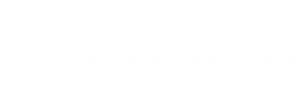Bold Colors